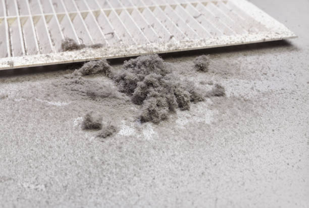 Best Dryer Vent Cleaning Services  in Chadbourn, NC
