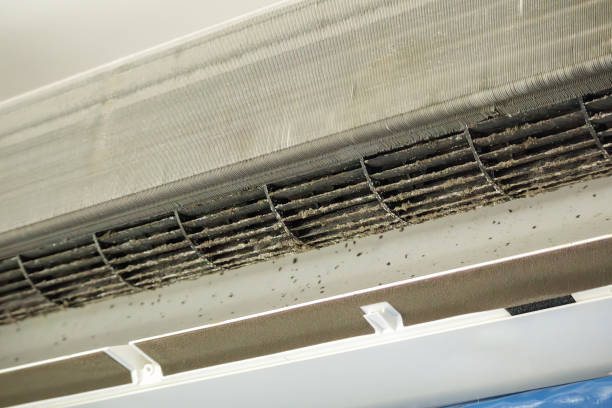 Best Air Duct Cleaning Near Me  in Chadbourn, NC